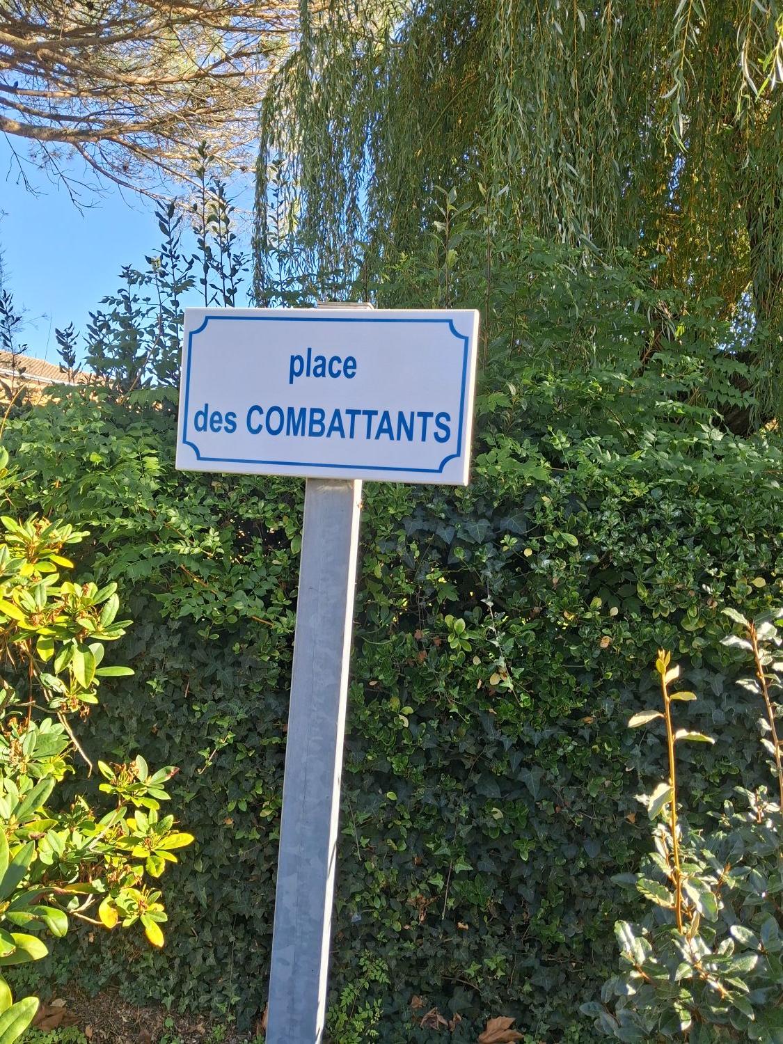 Plaque site 1 1